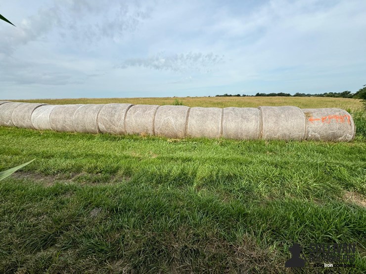 2024-mixed-grass-hay-round-bales-(bid-per-unit)-image-4