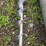 sump-auger-out-of-a-24’-grain-bin,-6”-unload-image-6