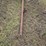 approx-20’-coil-tine-pony-cart,-3-bar-image-4