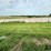 2024-mixed-grass-hay-round-bales-(bid-per-unit)-image-9
