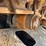 2019-caterpillar-316fl-image-36