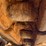 2016-caterpillar-336fl-image-13