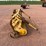 new-holland-770w-image-9