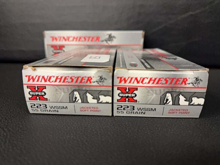 223-wssm-(ammo)-image-2
