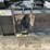 diamond-tree-mulcher-image-9