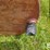 150-gallon-fuel-tank-&-stand-image-9