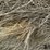 2024-mixed-grass-hay-round-bales-(bid-per-unit)-image-9