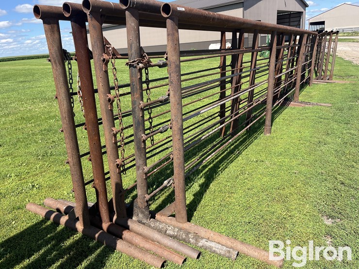 feedlot-panels-image-4