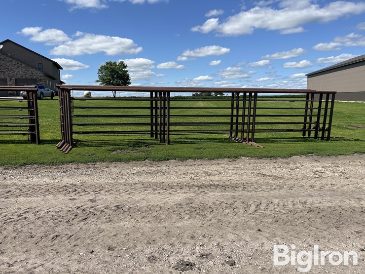 feedlot-panels-image-2