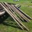 (11)-4”-wood-round-posts,-mostly-6’6”-long,-buying-all-for-one-money-image-1