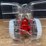 1/16-ih-460-2009-red-power-roundup-nib-ertl-image-7