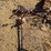 2182---horse-weather-vain-image-1