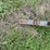 te-slaa-10-hd-image-9