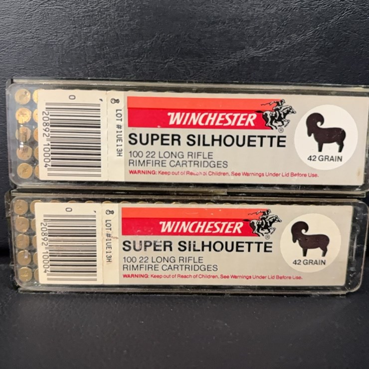 Winchester 22 LR Super Silhouette (Ammo)