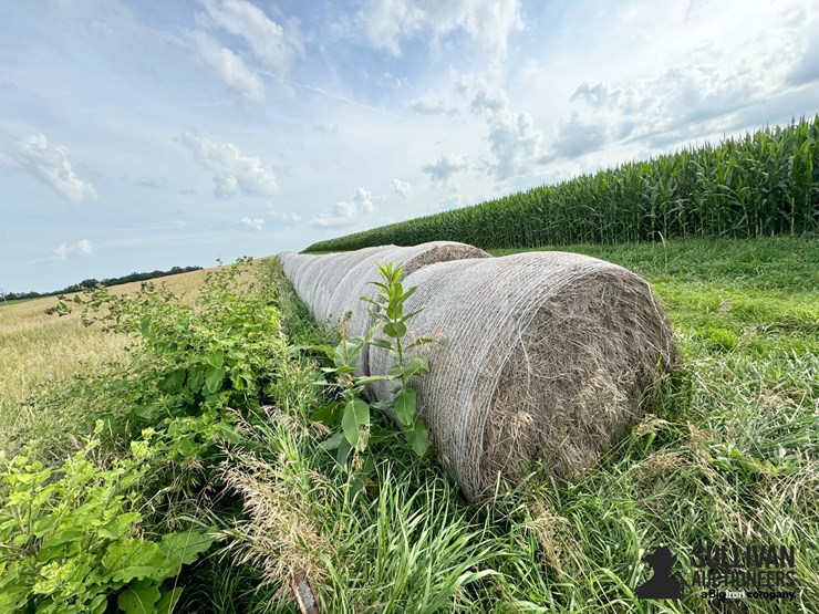 2024-mixed-grass-hay-round-bales-(bid-per-unit)-image-19