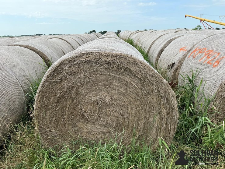 2024-mixed-grass-hay-round-bales-(bid-per-unit)-image-5