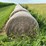 2024-mixed-grass-hay-round-bales-(bid-per-unit)-image-2