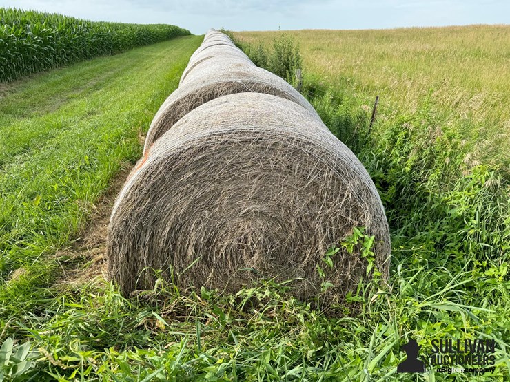 2024-mixed-grass-hay-round-bales-(bid-per-unit)-image-2