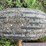 big-dog-12’-box-scraper-image-19