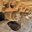 2018-caterpillar-320gc-image-15