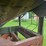 minnesota-jumbo-10-image-35