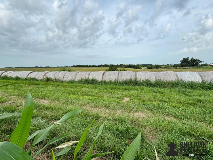 2024-mixed-grass-hay-round-bales-(bid-per-unit)-image-6