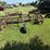 new-holland-55-image-5