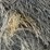 2024-mixed-grass-hay-round-bales-(bid-per-unit)-image-7