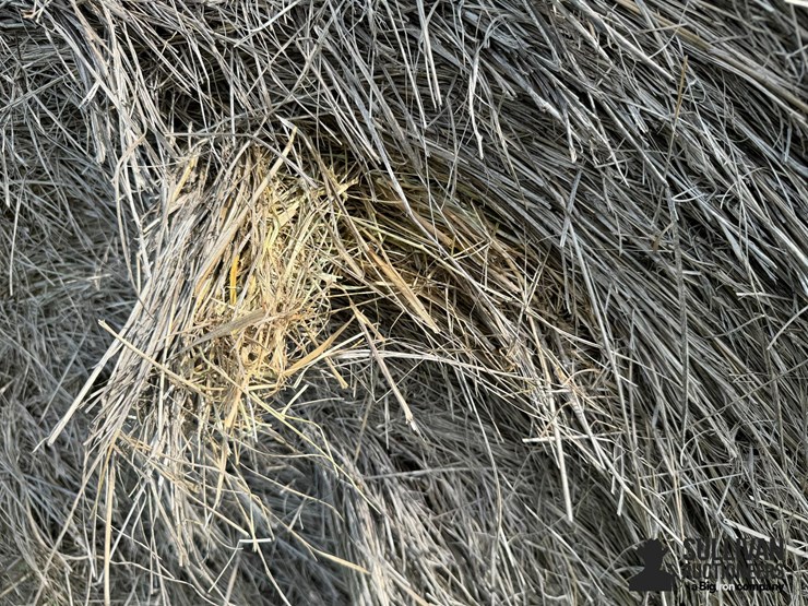 2024-mixed-grass-hay-round-bales-(bid-per-unit)-image-7