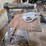 dewalt-2-1/4hp-770-deluxe-powershop-radial-arm-saw-image-1