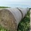 2024-mixed-grass-hay-round-bales-(bid-per-unit)-image-1