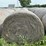 2024-mixed-grass-hay-round-bales-(bid-per-unit)-image-5