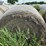 2024-mixed-grass-hay-round-bales-(bid-per-unit)-image-5
