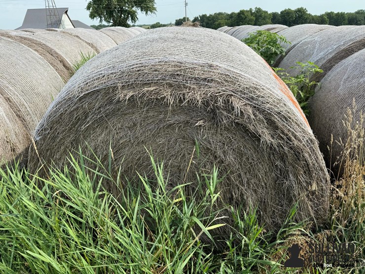 2024-mixed-grass-hay-round-bales-(bid-per-unit)-image-5