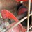 westfield-mk100-71-10"x71'-swing-away-auger-image-15