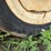 automatic-silage-blower,-set-up-for-high-moisture-corn,-set-up-with-automatic-roller-mill-image-11