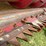 case-ih-1020-image-26