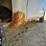 2006-cargo-express-image-43