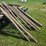 (11)-4”-wood-round-posts,-mostly-6’6”-long,-buying-all-for-one-money-image-2