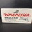 winchester-wildcat-22-(ammo)-image-1