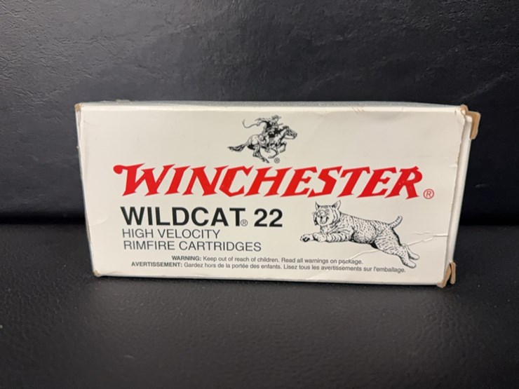 winchester-wildcat-22-(ammo)-image-1