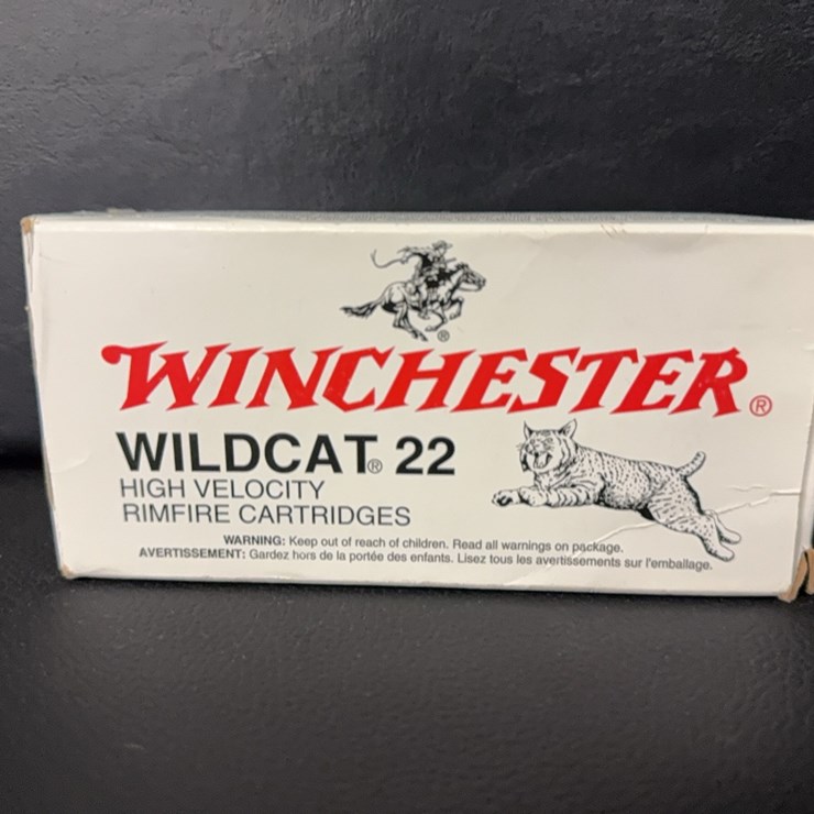 Winchester Wildcat 22 (Ammo)