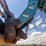 gradall-544d-10-image-7
