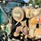 1993-peterbilt-377-image-75