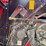 2010-case-ih-2010-image-31