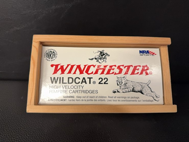 winchester-22-lr-(ammo)-image-3