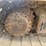 2016-caterpillar-325fl-image-16