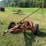 new-holland-456-image-1