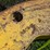 (4)-john-deere-wheel-weights,-part-#:-13404r-image-4