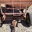 gravity-wagon-w/john-deere-running-gear-image-13
